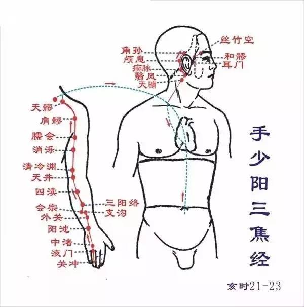 中篇第一章:经络腧穴各论手少阻三焦经
