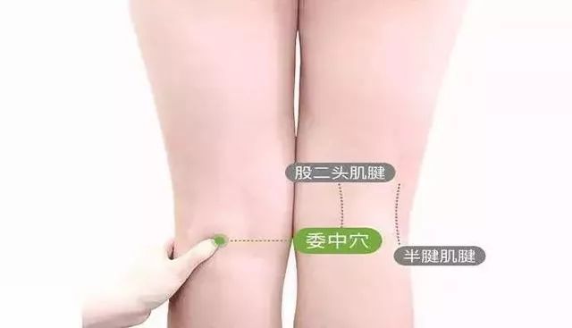 艾灸身上的＂金窝窝＂好处多达十几个!