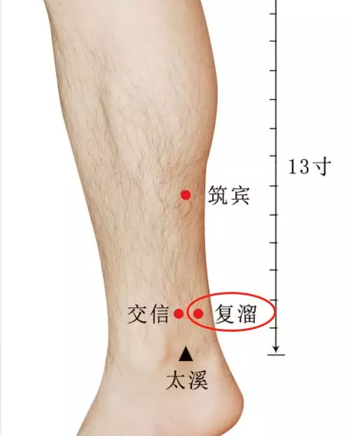 小腿一身阴毒的大本营!艾灸除去小腿阴毒!