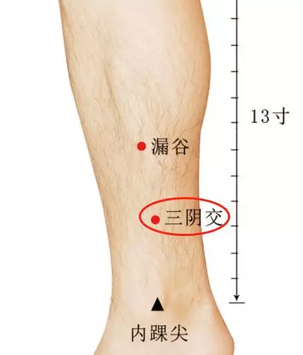 小腿一身阴毒的大本营!艾灸除去小腿阴毒!