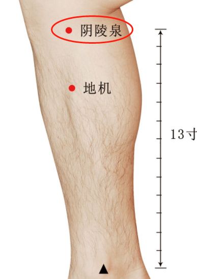 小腿一身阴毒的大本营!艾灸除去小腿阴毒!