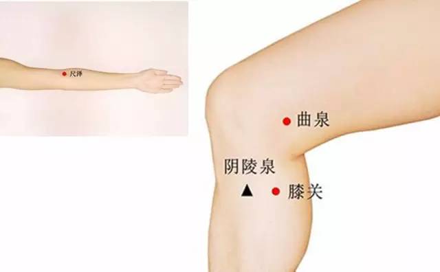 艾灸选穴,你只要收藏这一篇文章就够啦!