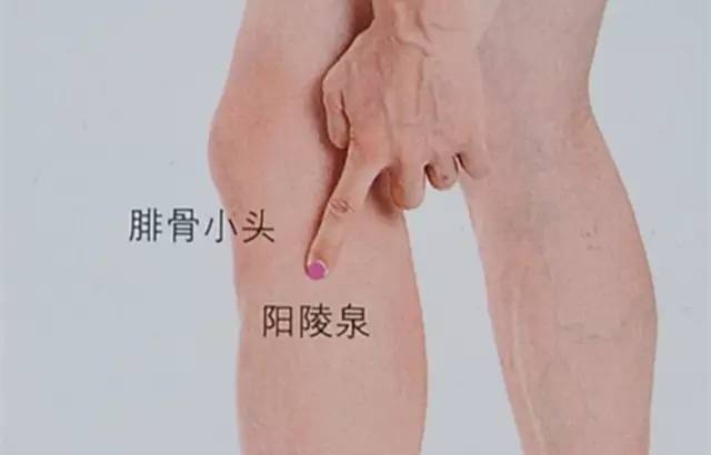 艾灸选穴,你只要收藏这一篇文章就够啦!