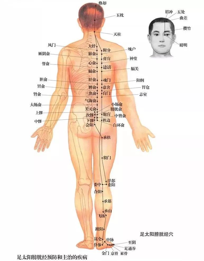 早衰怎么办?艾灸可以防止早衰