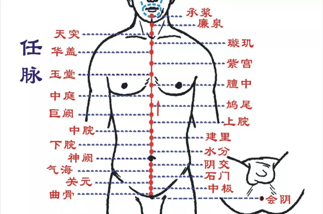 早衰怎么办?艾灸可以防止早衰