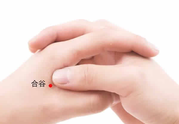 湿气重艾灸灸哪个部位？