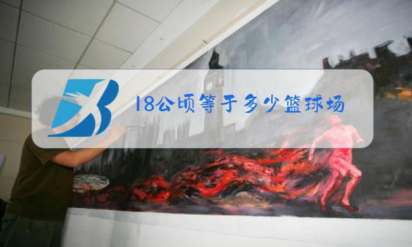 18公顷等于多少篮球场