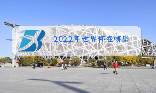 2022年世界杯在哪里打图片