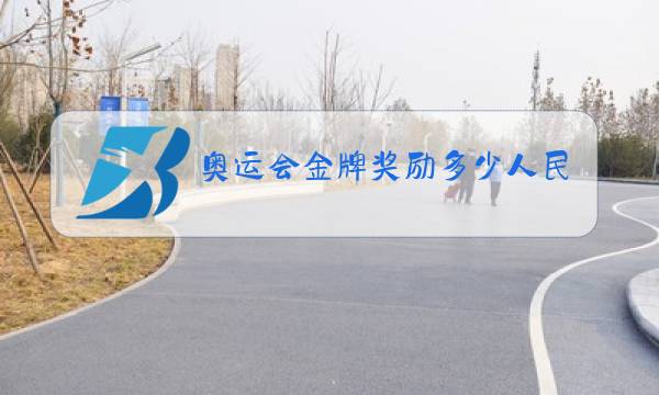 奥运会金牌奖励多少人民币图片