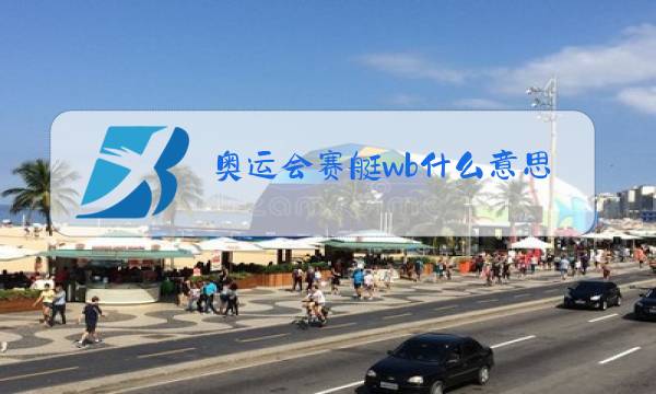 奥运会赛艇wb什么意思图片