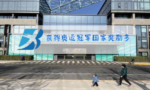 获得奥运冠军国家奖励多少图片