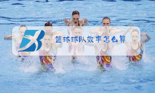 篮球球队效率怎么算图片