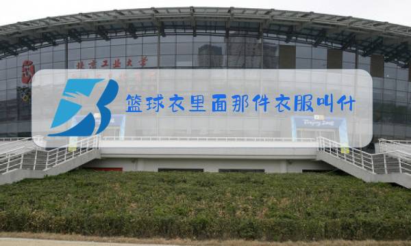 篮球衣里面那件衣服叫什么图片