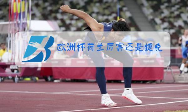 欧洲杯荷兰厉害还是捷克厉害图片