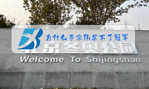 为什么李宗伟拿不了冠军图片