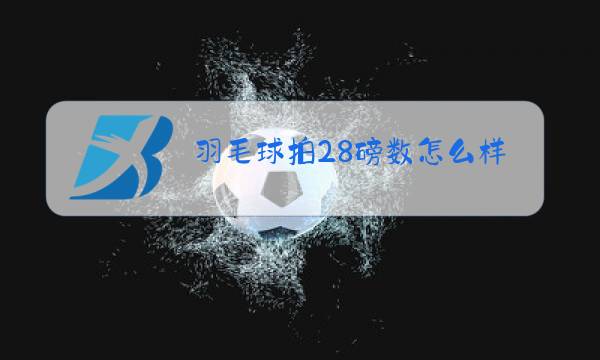 羽毛球拍28磅数怎么样图片