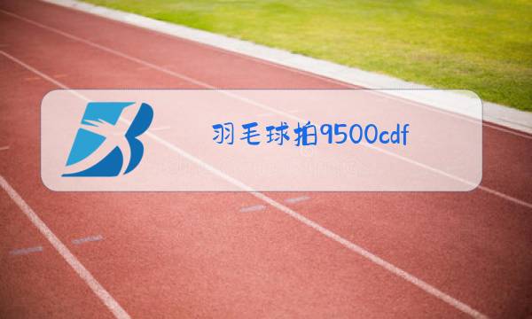 羽毛球拍9500cdfs什么意思图片
