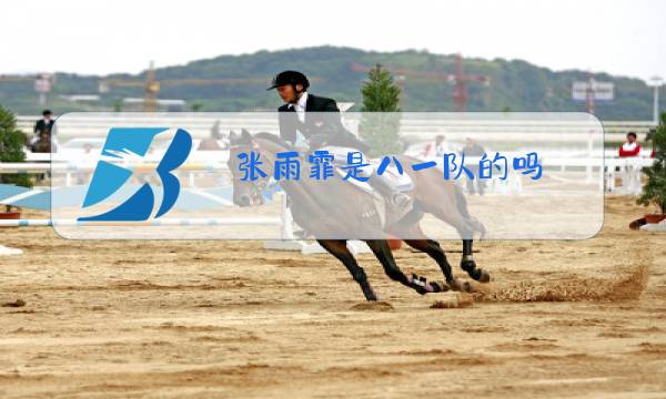 张雨霏是八一队的吗