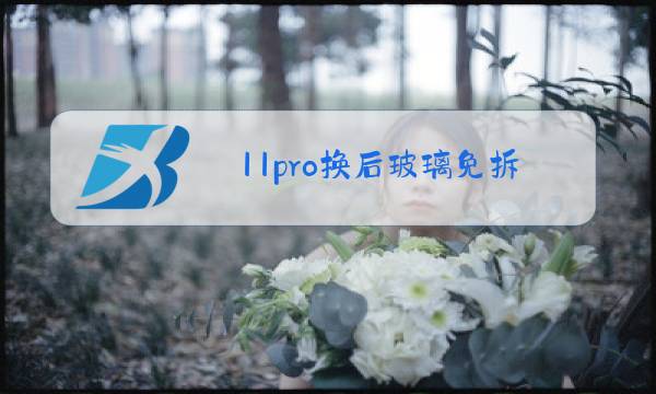 11pro换后玻璃免拆机图片