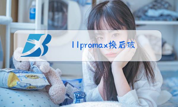 11promax换后玻璃图片