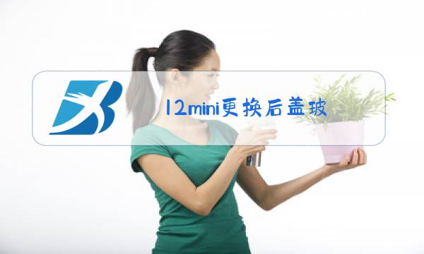 12mini更换后盖玻璃图片