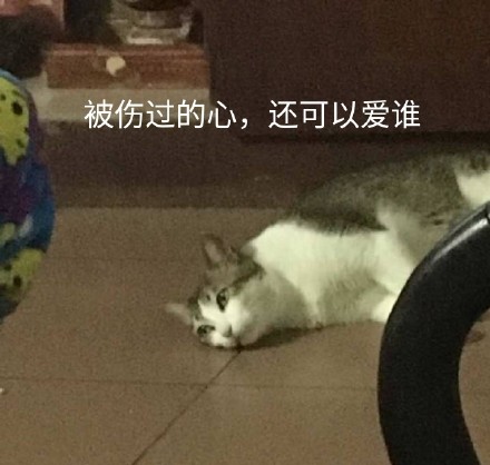 被伤过的心就像玻璃碎片歌词配图