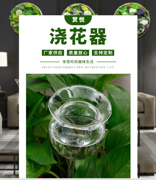 玻璃浇花器配图