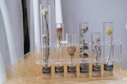 玻璃试管干花怎么样配图