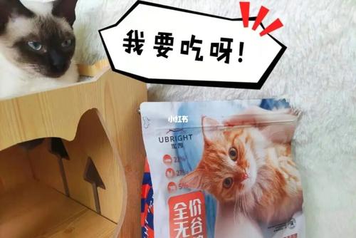 玻璃胃的猫吃什么猫粮配图