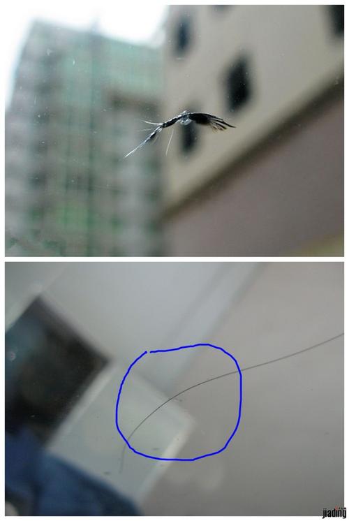 车挡风玻璃裂了修复还是换配图