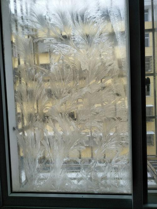 二年级冬天窗户玻璃上的冰花是水变的配图