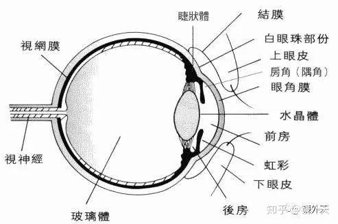 更换玻璃体需要多少钱配图