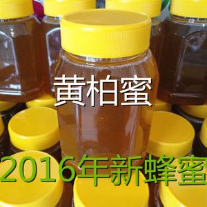 黄玻璃树蜜功效与作用配图