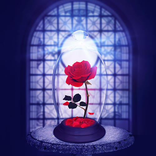 小王子玫瑰花玻璃罩画法配图