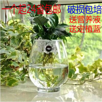 养花玻璃瓶批发市场配图