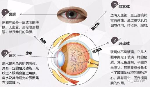 眼睛玻璃体可以换人工的吗配图