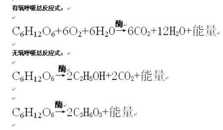 用于造纸,玻璃,洗涤剂的是什么方程式配图