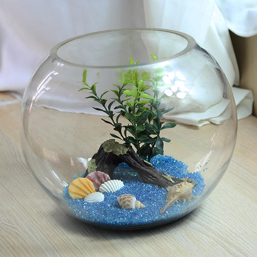 圆玻璃缸养花造景配图