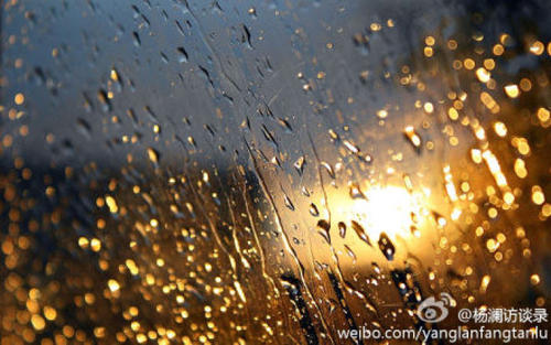 雨打玻璃的图片配图