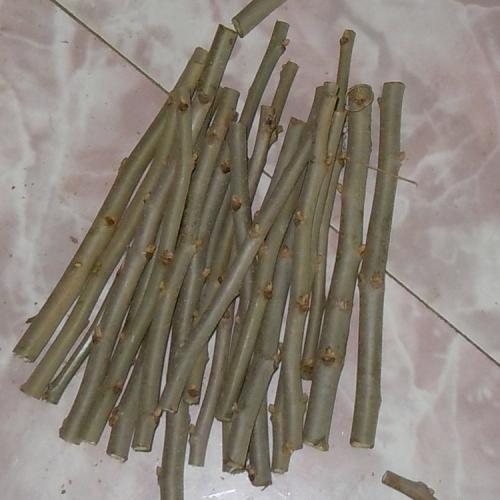 枕黄玻璃树能治颈椎病吗配图