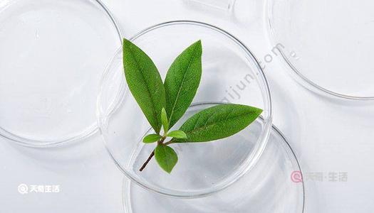 制备玻璃的主要原料有哪些?配图