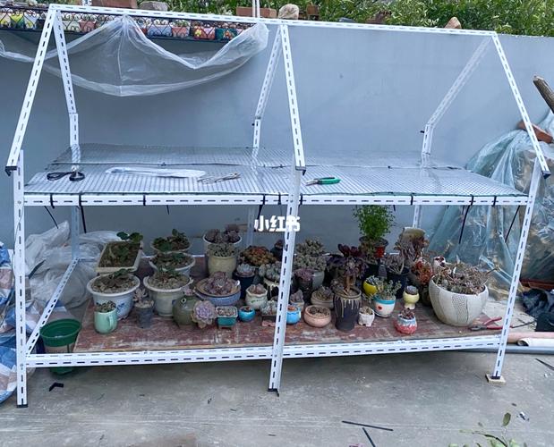 自制玻璃花架的图片配图