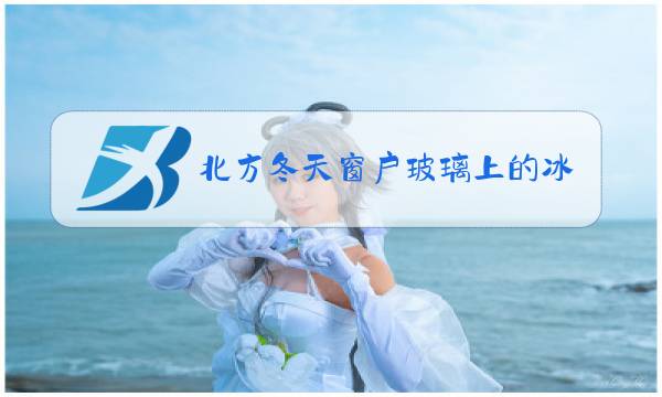 北方冬天窗户玻璃上的冰花在玻璃的图片