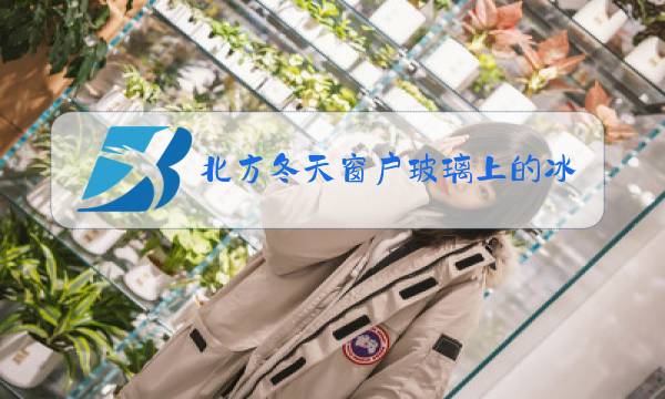 北方冬天窗户玻璃上的冰花是什么物态变化图片