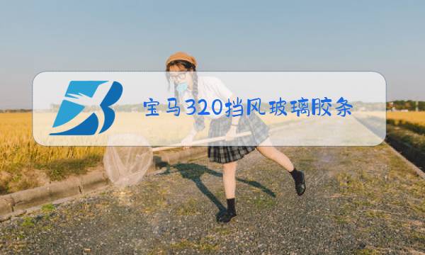 宝马320挡风玻璃胶条更换图片