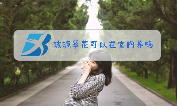 玻璃翠花可以在室内养吗图片