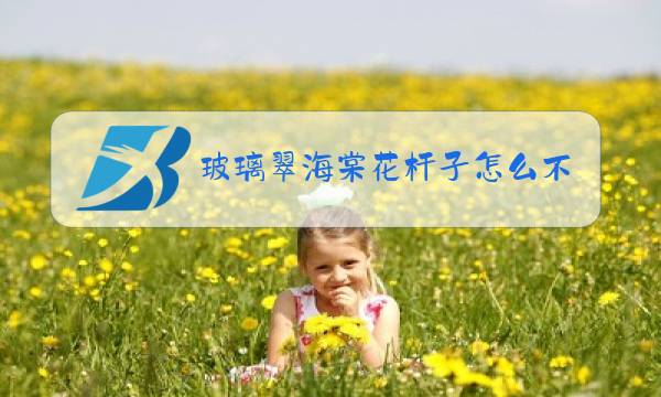 玻璃翠海棠花杆子怎么不发芽图片