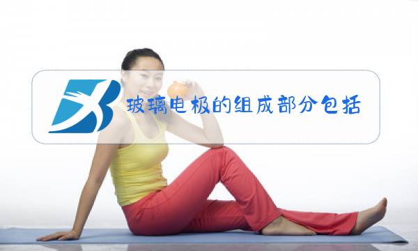 玻璃电极的组成部分包括图片