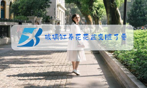 玻璃缸养花花盆变脏了要清洗吗图片
