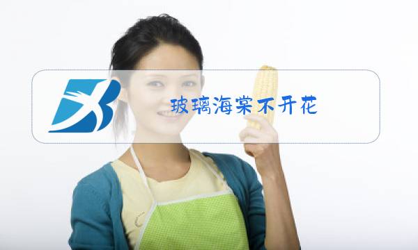 玻璃海棠不开花图片